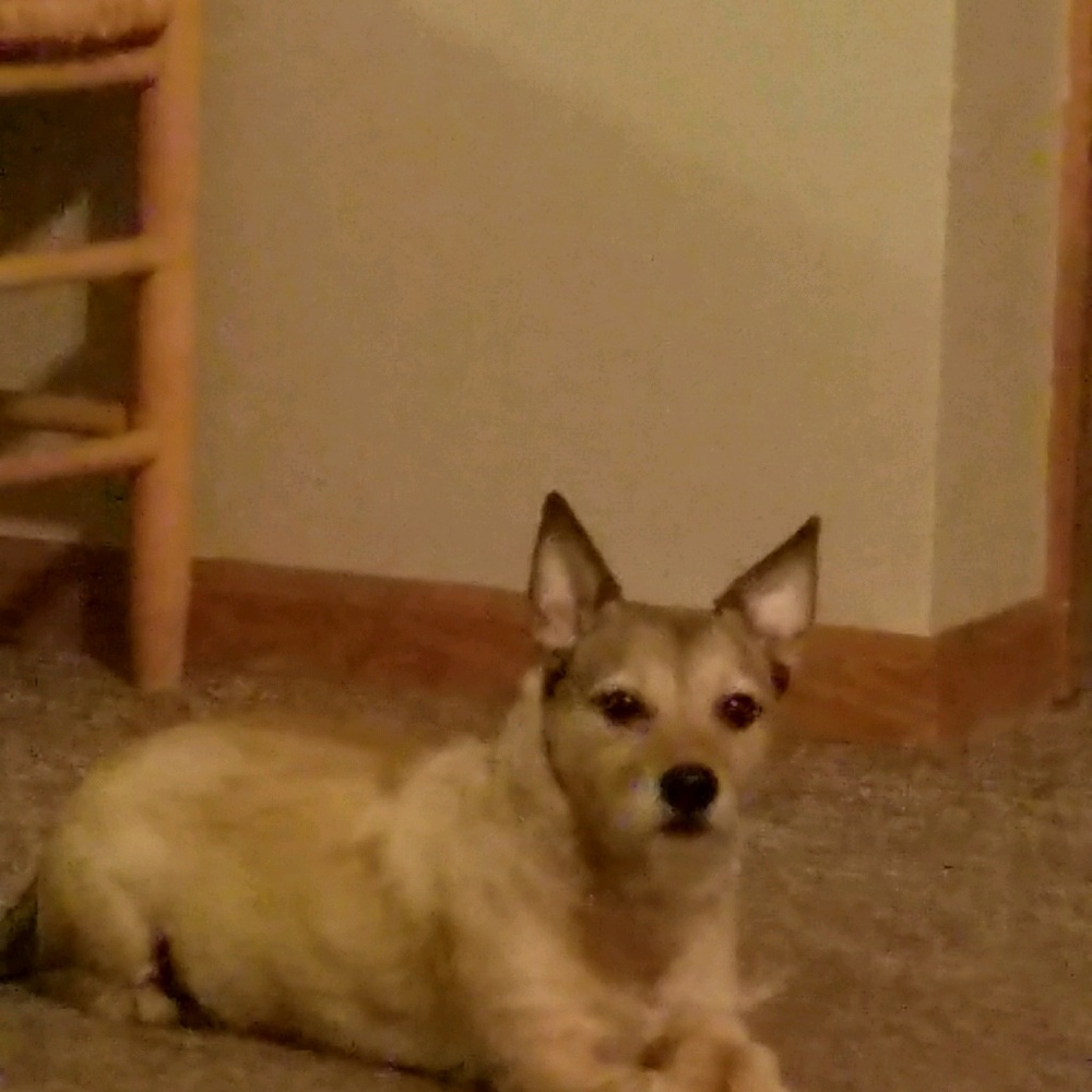 Meet your Posher, Jean